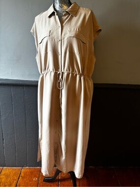 Old Navy Sleeveless Button-Front Maxi Dress in Taupe